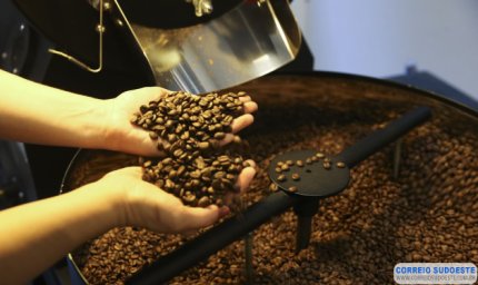 Preço do café arábica registra baixa nesta segunda-feira (20)