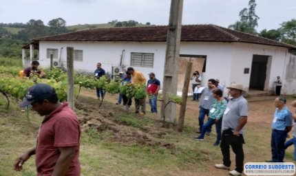 Dia de Campo reúne produtores de uva