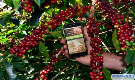 Produtores do Sul de Minas utilizam plataforma digital para exportar café