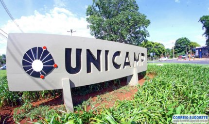 Canabinoides podem auxiliar no tratamento de doenças neurológicas