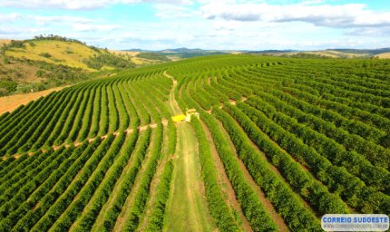 FÓRUM ONLINE DA COOXUPÉ DEBATERÁ OS IMPACTOS DAS CONDIÇÕES CLIMÁTICAS NA SAFRA 2020-2021 DO CAFÉ