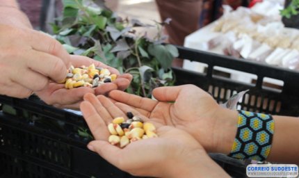 Lavras receberá o Encontro Internacional de Sementes Tradicionais, Orgânicas e Biodinâmicas e Agricultura para a Vida