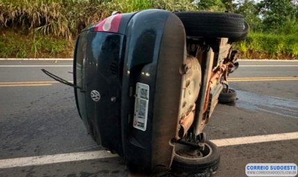 Animal na pista causa tombamento de veículo