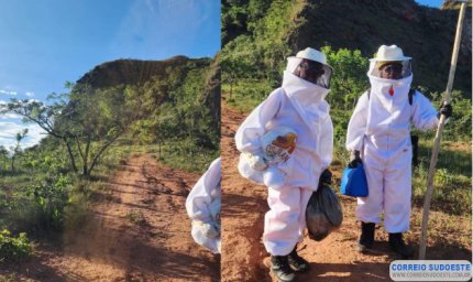 Turistas são atacados por abelhas durante trilha, e Bombeiros realizam resgate