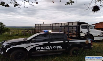 POLÍCIA RECUPERA EM SÃO PAULO GADO FURTADO NO SUL DE MINAS