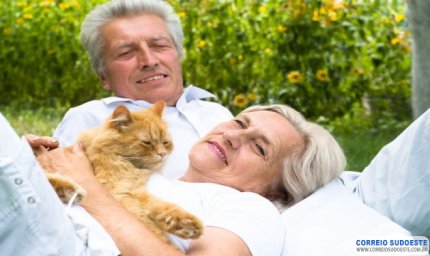 PETS SÃO EXCELENTES COMPANHIAS NO DIA A DIA DOS IDOSOS