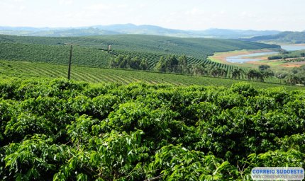 Começam as inscrições para o Concurso de Qualidade dos Cafés de Minas Gerais de 2019