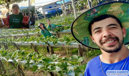 Morango do Amor: doce famoso na internet ajuda a manter preço em alta