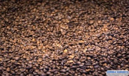 Caminhão carregado com café tomba em Juruaia e carga é saqueada por populares