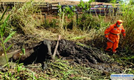 VACA É RESGATADA POR BOMBEIROS