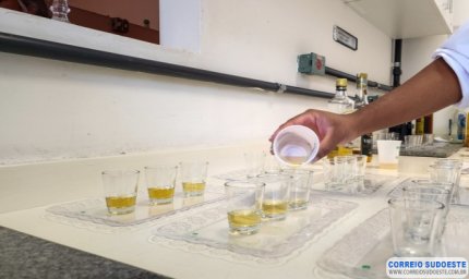 Jurados do Concurso Cachaças Mineiras 2024 participam de treinamento promovido pela Emater-MG