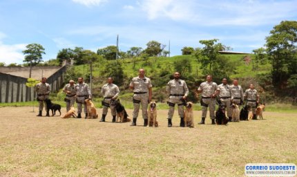 Agentes bons de faro: cachorros ajudam na rotina de segurança das unidades prisionais do Estado