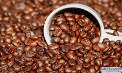 Preço do café arábica registra queda nesta terça-feira (26)