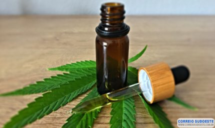 Anvisa autoriza fabricação de novo medicamento à base de cannabis