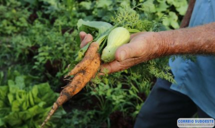 Minas Gerais é o 2º estado brasileiro com mais agricultores familiares