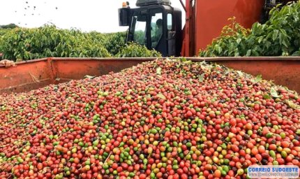 Capacitação gratuita em cafeicultura regenerativa oferecida pelo BDMG tem início com mais de mil inscritos de todo o estado