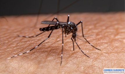 Prefeitura intensifica combate à dengue com fumacê e até drone