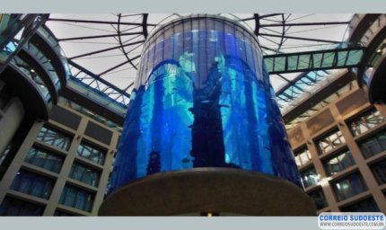 Aquário gigante explode em Berlim, e 1,5 mil peixes caem em avenida