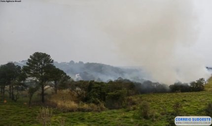 Polícia prende quinto suspeito de incêndios criminosos em SP
