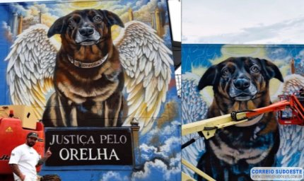 Caso Orelha: polícia pede internação de adolescente envolvido no crime