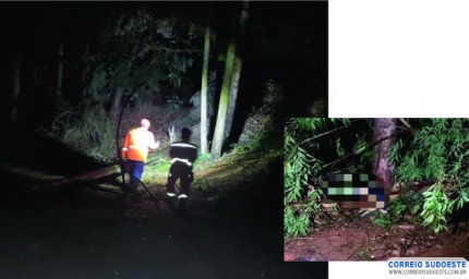 QUEDA DE ÁRVORE CAUSA MORTE DE HOMEM