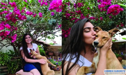 ADOÇÃO DE CÃOZINHO DE ESTIMAÇÃO
