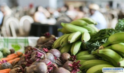 Decreto institui Desenrola Rural que ajudará 1,3 milhão de famílias