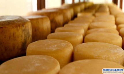 MINAS SERÁ SEDE DE CONCURSO INTERNACIONAL DE QUEIJOS
