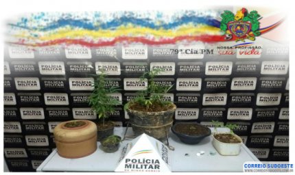 MULHER CULTIVAVA MACONHA EM VASOS
