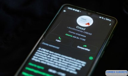 Usuários de drogas e familiares podem pedir ajuda especializada via WhatsApp em Minas
