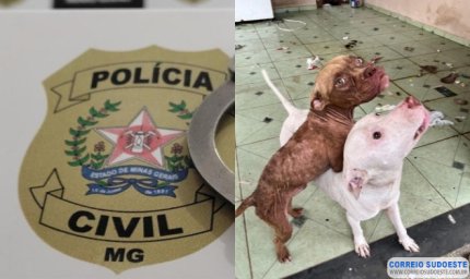 Polícia Civil resgata cães em situação de maus-tratos em Guaxupé
