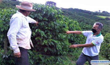 REGIÃO DE POÇOS DE CALDAS INVESTE EM MARCA COLETIVA DE CAFÉ VULCÂNICO