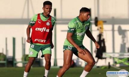 Palmeiras e Botafogo jogam por liderança do Campeonato Brasileiro