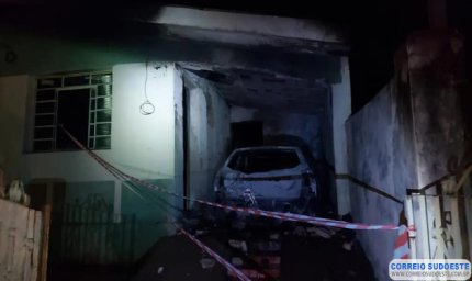 Cão morre enforcado ao tentar fugir de incêndio em Guaranésia