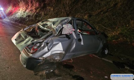 Jovem perde a vida ao tentar desviar de capivara na pista