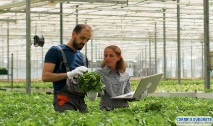 Bolsas de R$ 5 mil: Sebrae Minas vai selecionar agentes para o programa ALI Rural