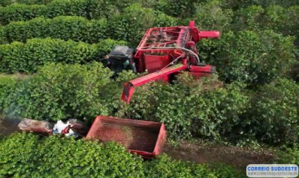 Cooxupé promove o 5º Fórum Café e Clima no dia 27 de julho