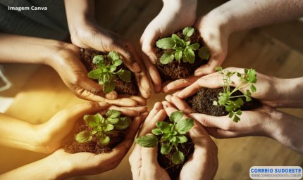 Minas Gerais tem inscrições abertas para nova edição de curso gratuito de Educação Ambiental