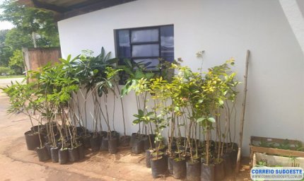 TEM INÍCIO A EXECUÇÃO DO PROJETO PAISAGÍSTICO DO CÂMPUS DA UFLA EM SÃO SEBASTIÃO DO PARAÍSO