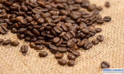 Preço do café arábica registra alta
