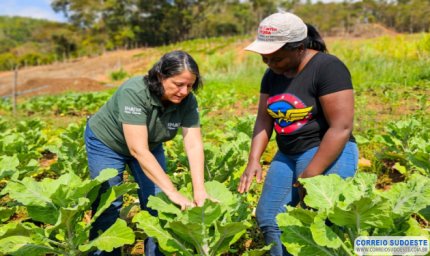 Pesquisa mostra que produtores rurais aprovam o trabalho da Emater-MG