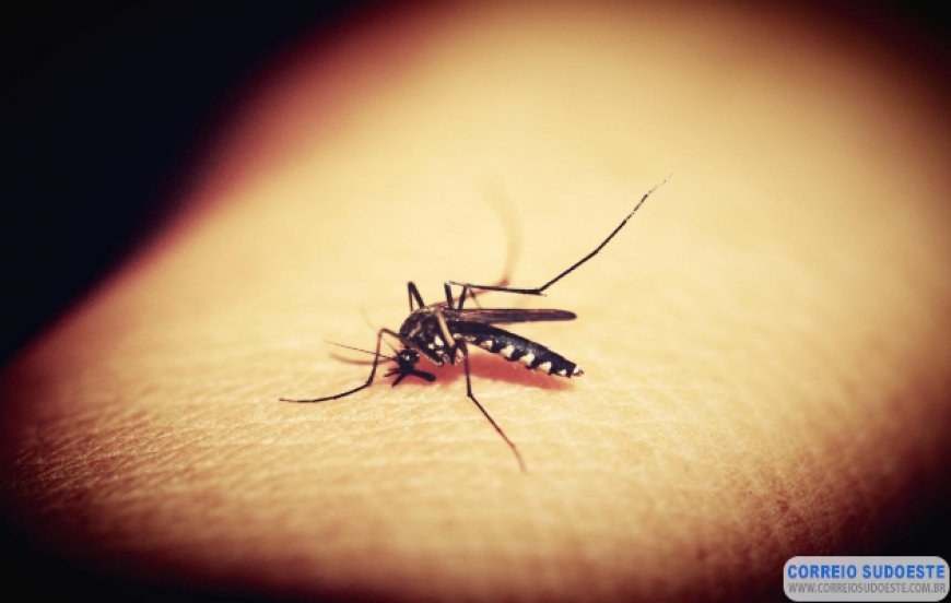 Dengue: quase 500 guaxupeanos estão com a doença