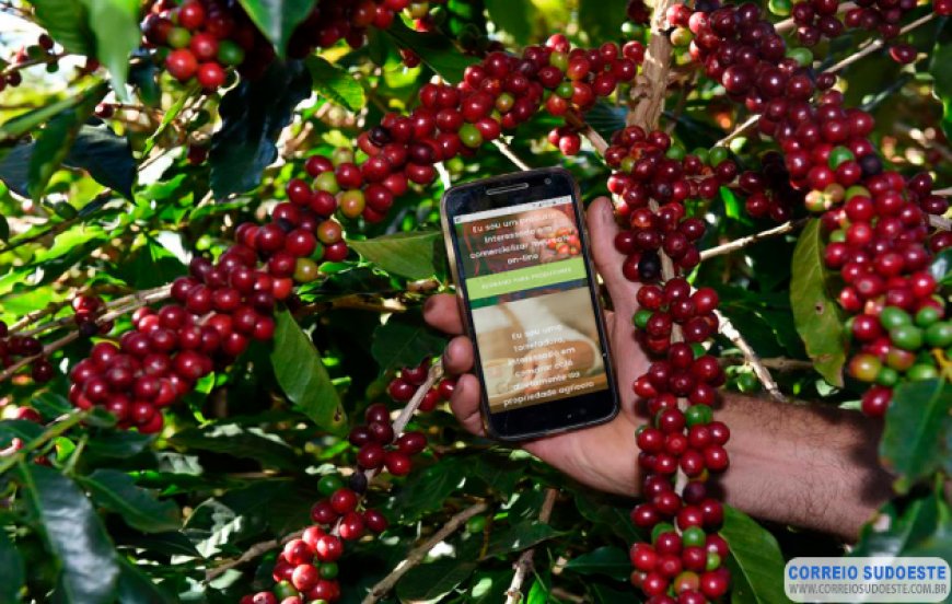 Produtores do Sul de Minas utilizam plataforma digital para exportar café