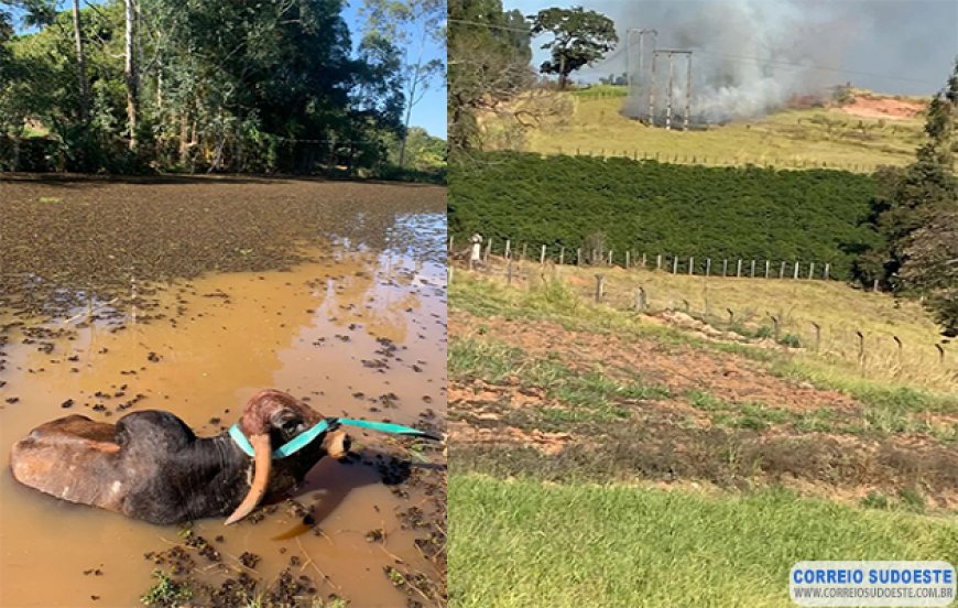Bombeiros de Guaxupé divulgam atividades realizadas na quarta-feira