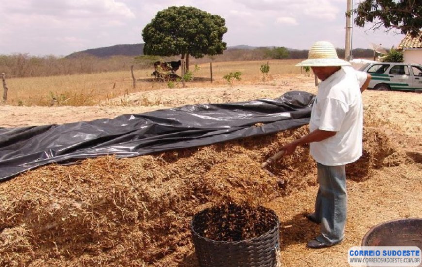 INSS SUSPENDE EXIGÊNCIAS PARA O SEGURADO ESPECIAL RURAL PELO PRAZO DE 120 DIAS