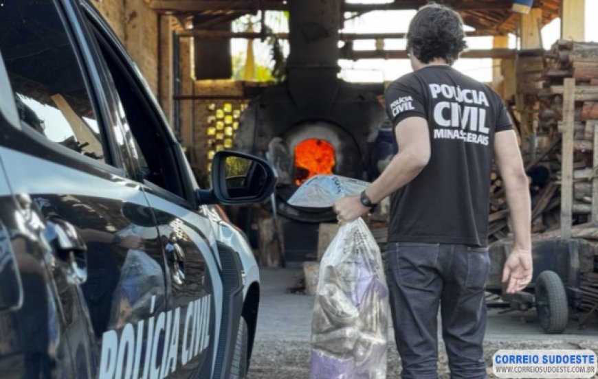 Polícia Civil incinera mais de 40 quilos de drogas diversas