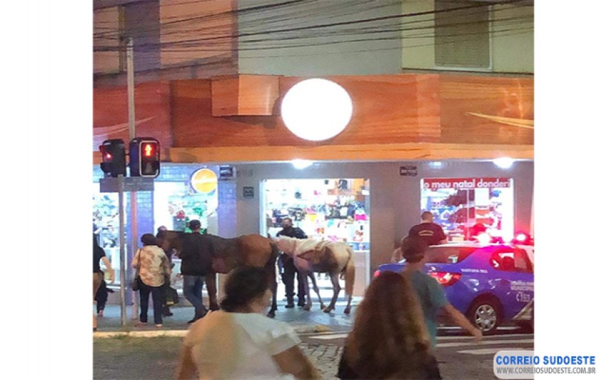 MENORES SÃO REPREENDIDOS POR CIRCULAREM COM CAVALOS NO CENTRO DA CIDADE