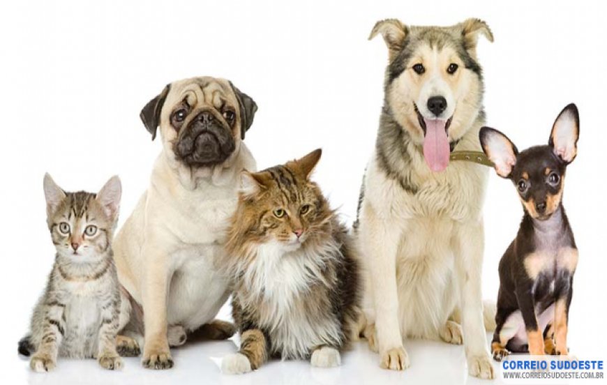 COMEÇA HOJE VACINAÇÃO DE CÃES E GATOS EM GUAXUPÉ