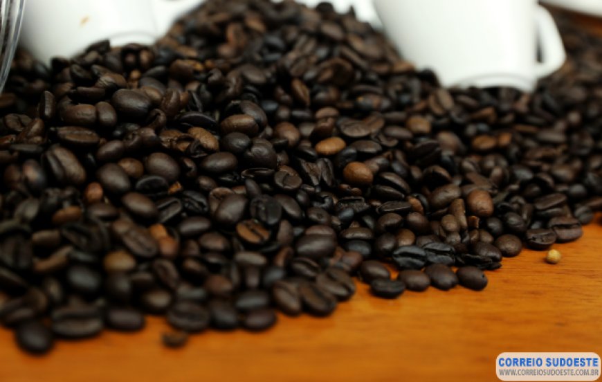 Café arábica registra baixa nesta segunda-feira