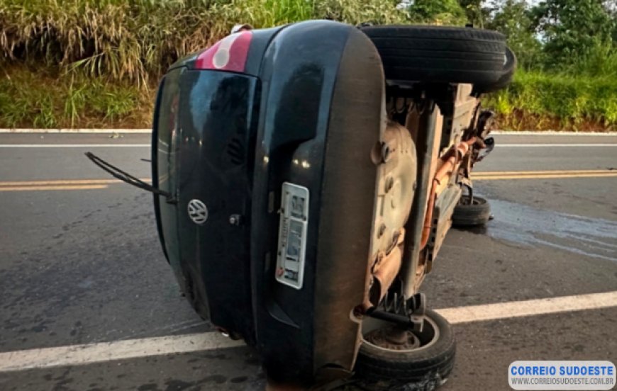 Animal na pista causa tombamento de veículo